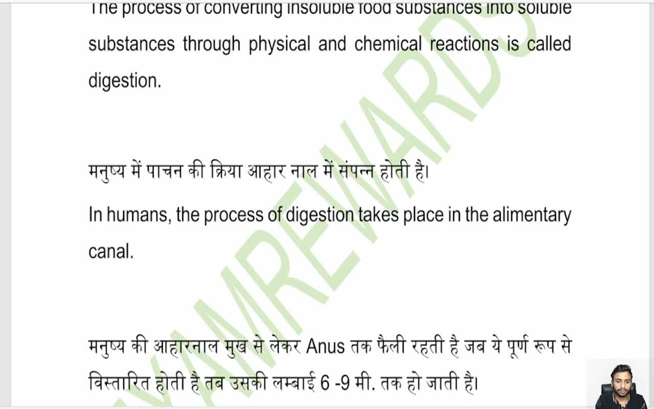 DIGESTIVE SYSTEM IN HUMANS
