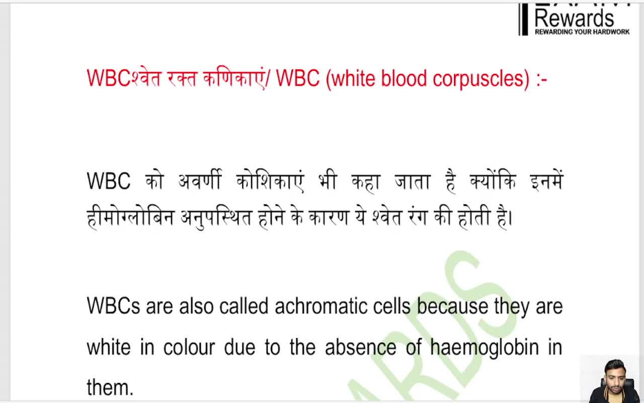 BLOOD CIRCULATORY SYSTEM (2)