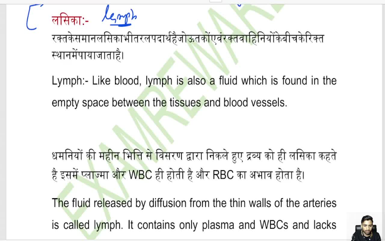 BLOOD CIRCULATORY SYSTEM (3)