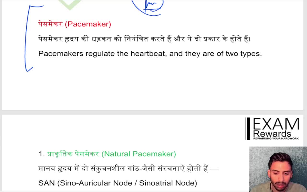 BLOOD CIRCULATORY SYSTEM (7)