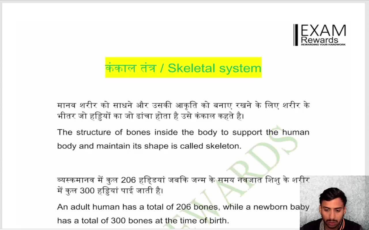 SKELETAL SYSTEM (1)