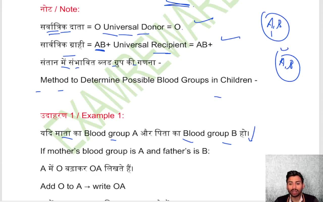 BLOOD CIRCULATORY SYSTEM (5)