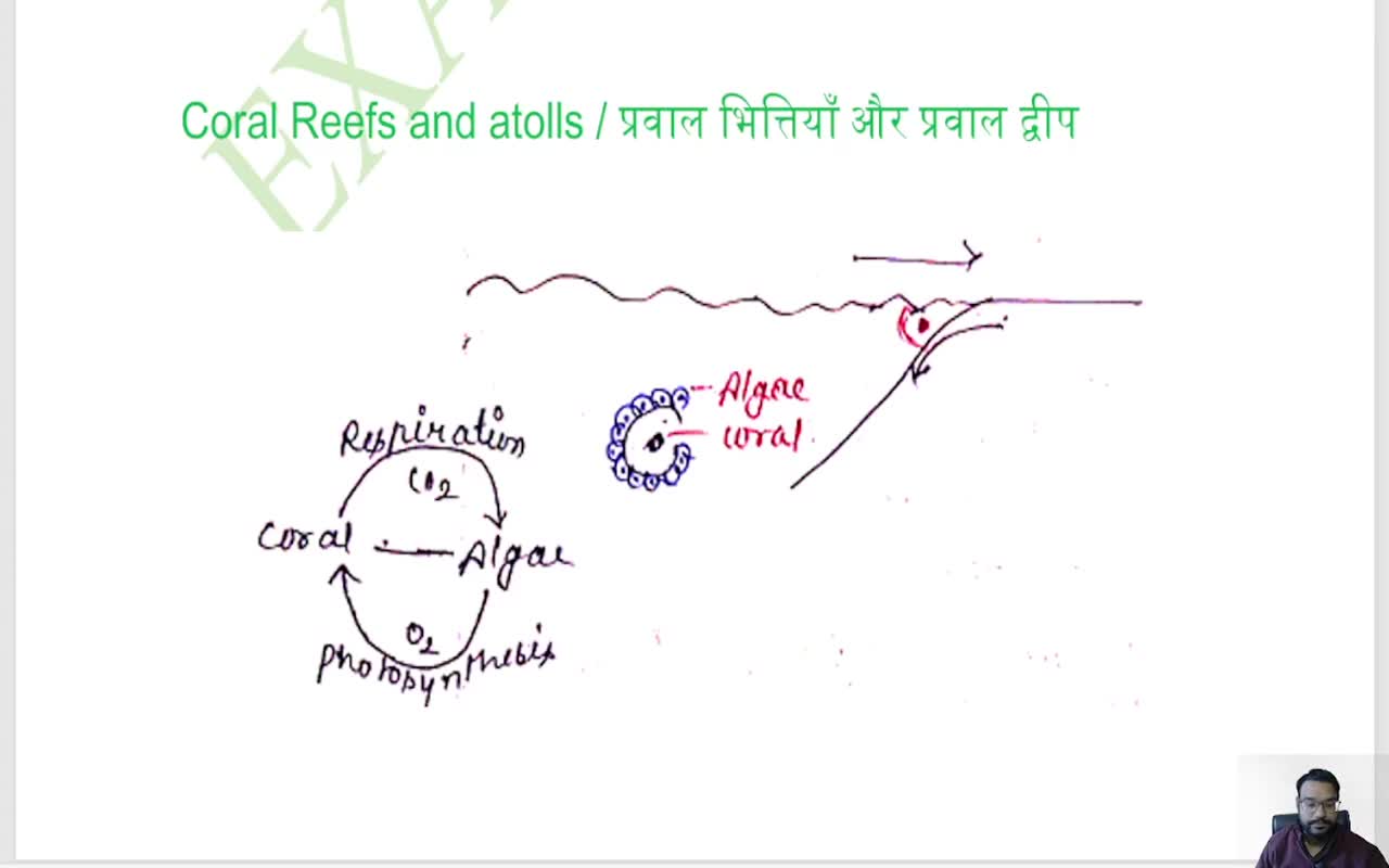 CORAL REEFS AND ATTOLS