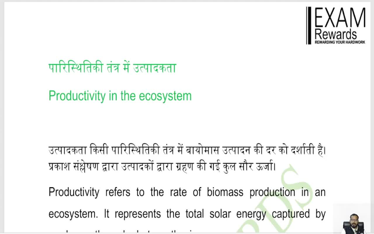 पारिस्थितिकी तंत्र में उत्पादकता