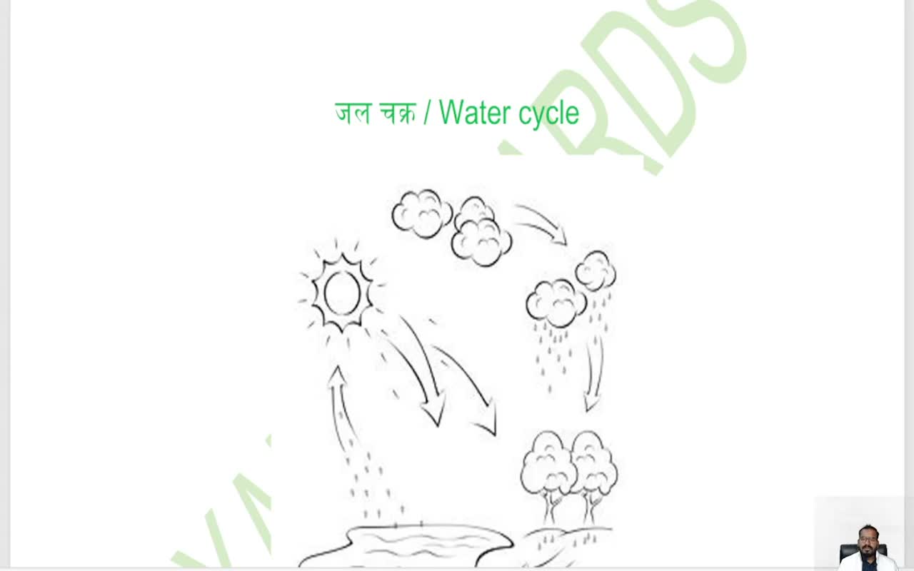 जैव रासायनिक चक्र (2)