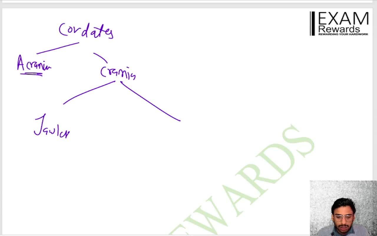 जंतु जगत (3)