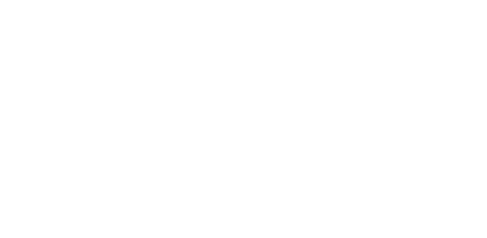 ALZA Festival