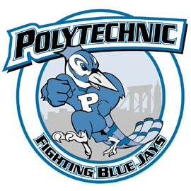 Polytechnic Institute of New York University