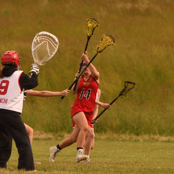 Alison_Harbaugh