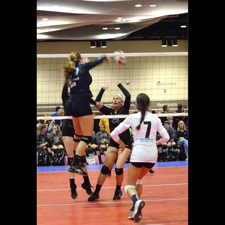 Lexi Eaves
