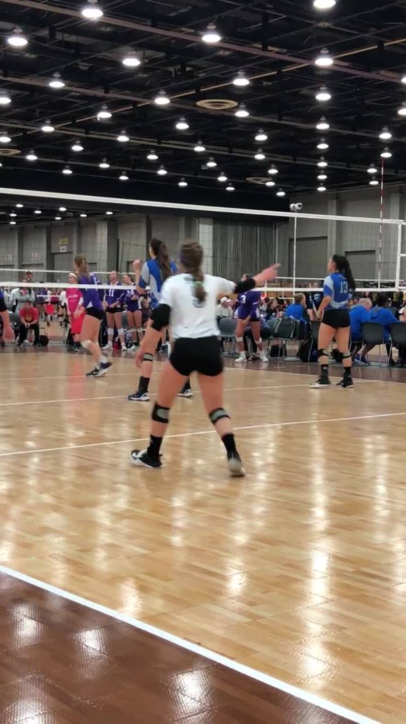Absolute Volleyball Academy (AVA) 15 Rox SportsRecruits