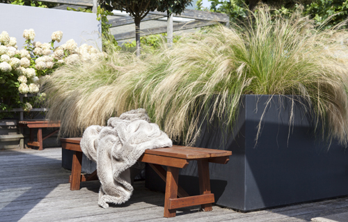 Even relaxen en nog de najaarszon meepikken ...