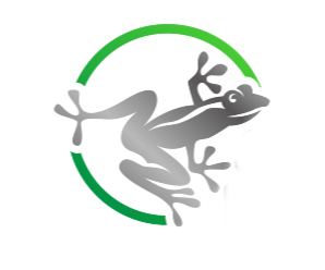 Silver Frog Marketing