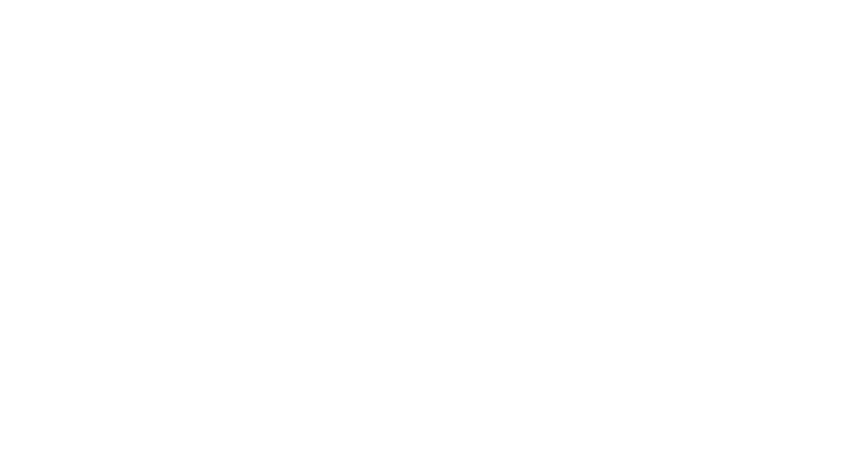 Vista Consulting Team