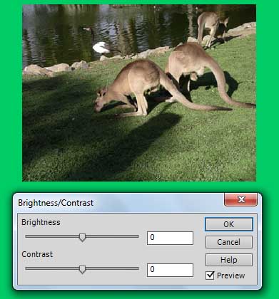 image slider in dreamweaver cs6