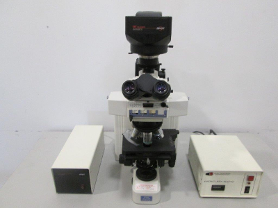 Nikon Eclipse E600 Fluorescence Microscope