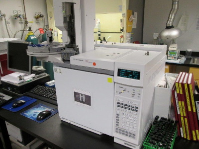 Agilent 6890N Gas Chromatograph