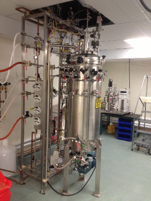 New Brunswick BioFlo Pro 300L Fermentor