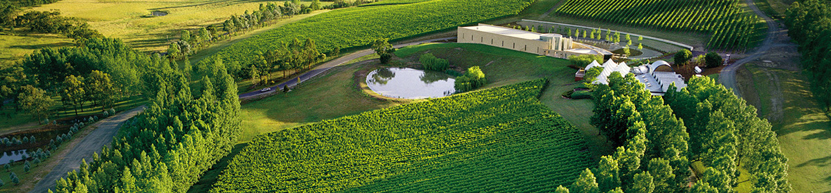 TarraWarra Estate
