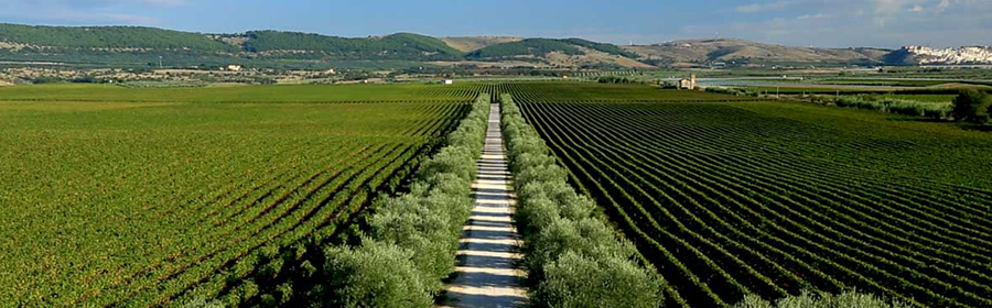 Puglia