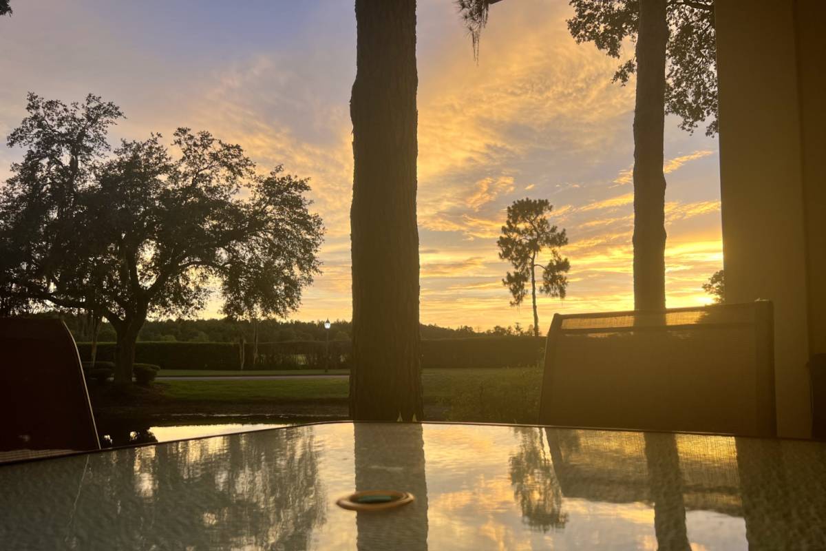 Wesley Chapel Vacation Rental Peaceful Pond Paradise Scenic 2 BR