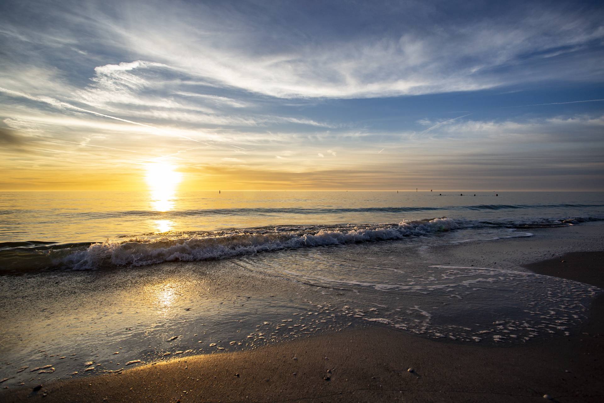 5 - Silver Sands - Oasis - Madeira Beach, FL