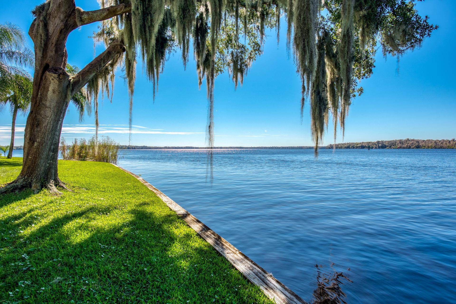 Welaka Vacation Rental All New Furnishings & Riverfront Views! Fishing & Boating on the St