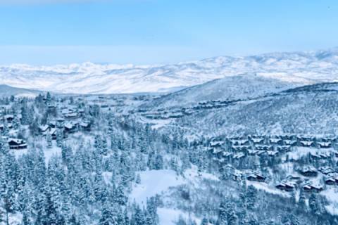 Powder Pointe 301A