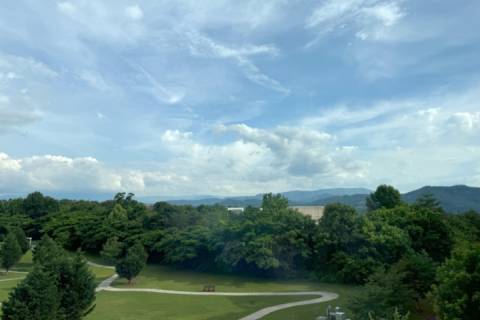 Mountain View Condo #3407