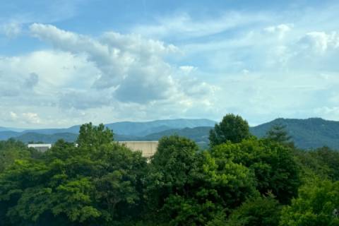 Mountain View Condo #3407