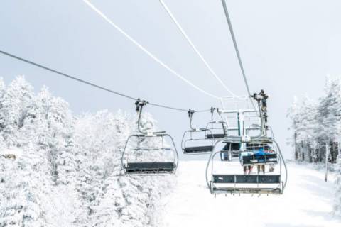 Timber Wolf 12A