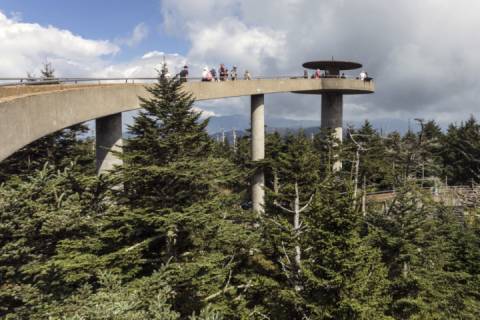 Mountain View Condo #3407
