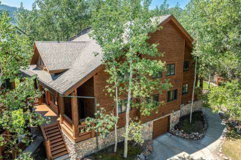 Timber Wolf 12A
