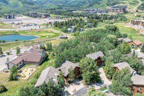 Timber Wolf 12A