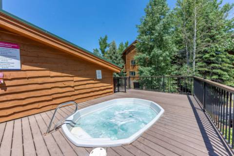 Timber Wolf 12A