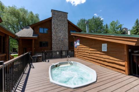 Timber Wolf 12A