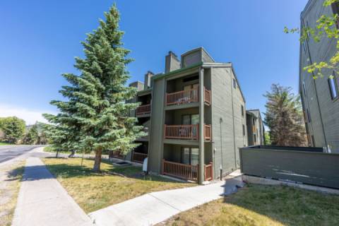 Powder Pointe 301A