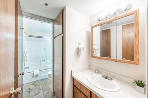 Powder Pointe 301A