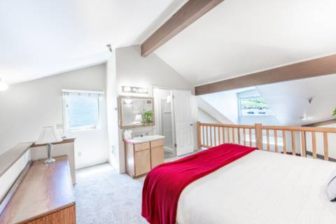 Powder Pointe 301A