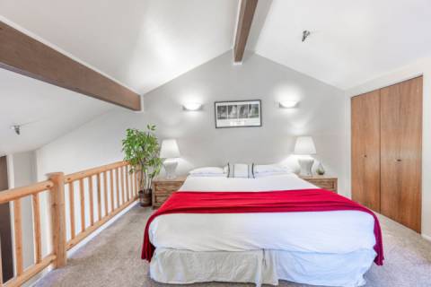 Powder Pointe 301A