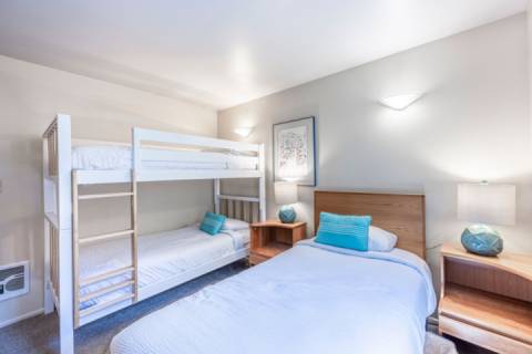Powder Pointe 301A