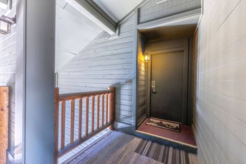 Powder Pointe 301A