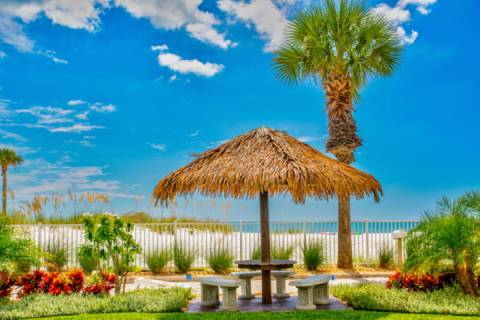 408 - Sea Breeze