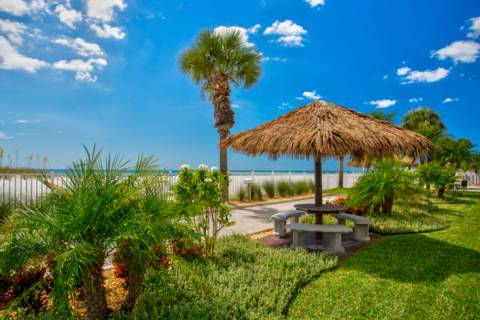 408 - Sea Breeze