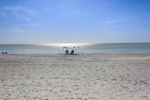 Yoda Beach House