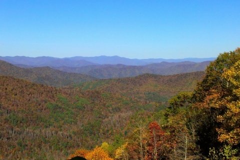 Mountain View Condo #3407