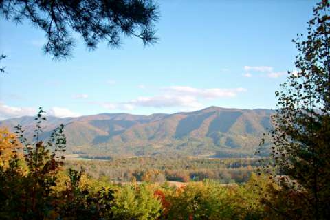 Mountain View Condo #3407