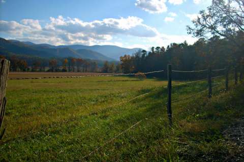 Mountain View Condo #3407