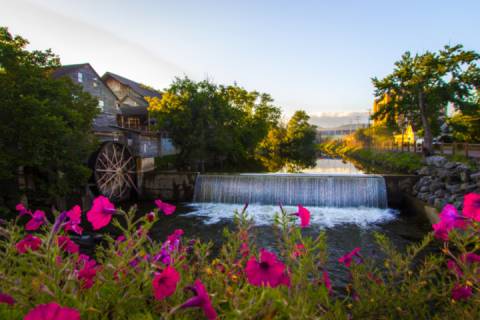 Mountain View Condo #3407