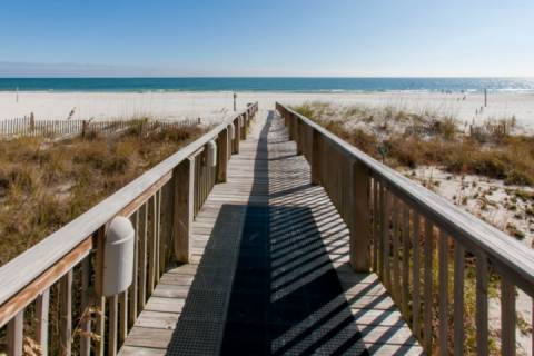 Shoalwater 403